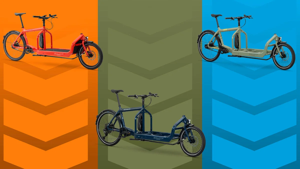 Larry vs Harry eBullitt E6100