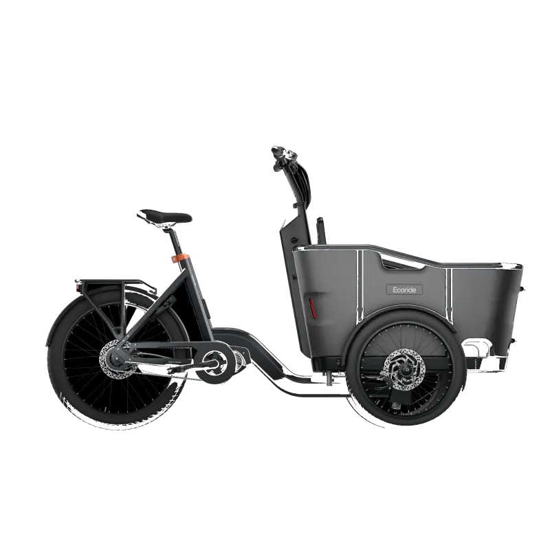 Ecoride Loader 802