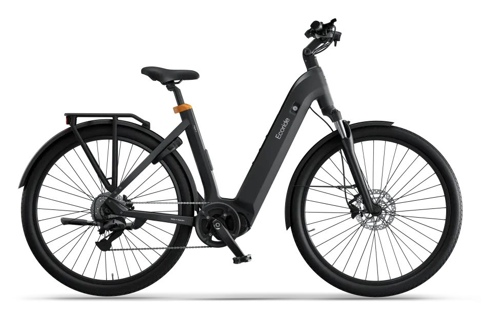 Ecoride Tripper 4 Midmotor recension
